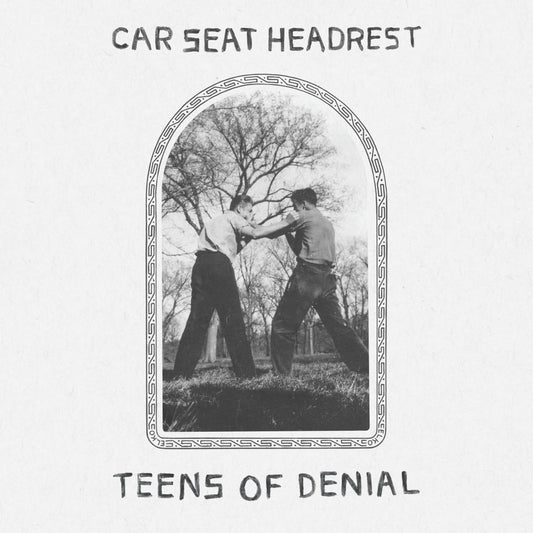 Teens Of Denial [LP] | Mint (M) Mint (M) Get Cheap Vinyl