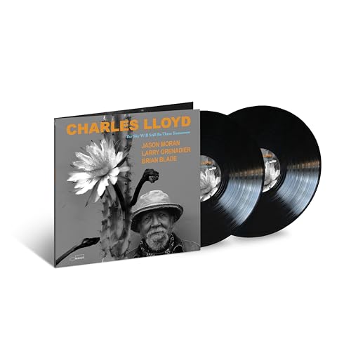 The Sky Will Still Be There Tomorrow [2 LP] | Mint (M) Mint (M) Get Cheap Vinyl