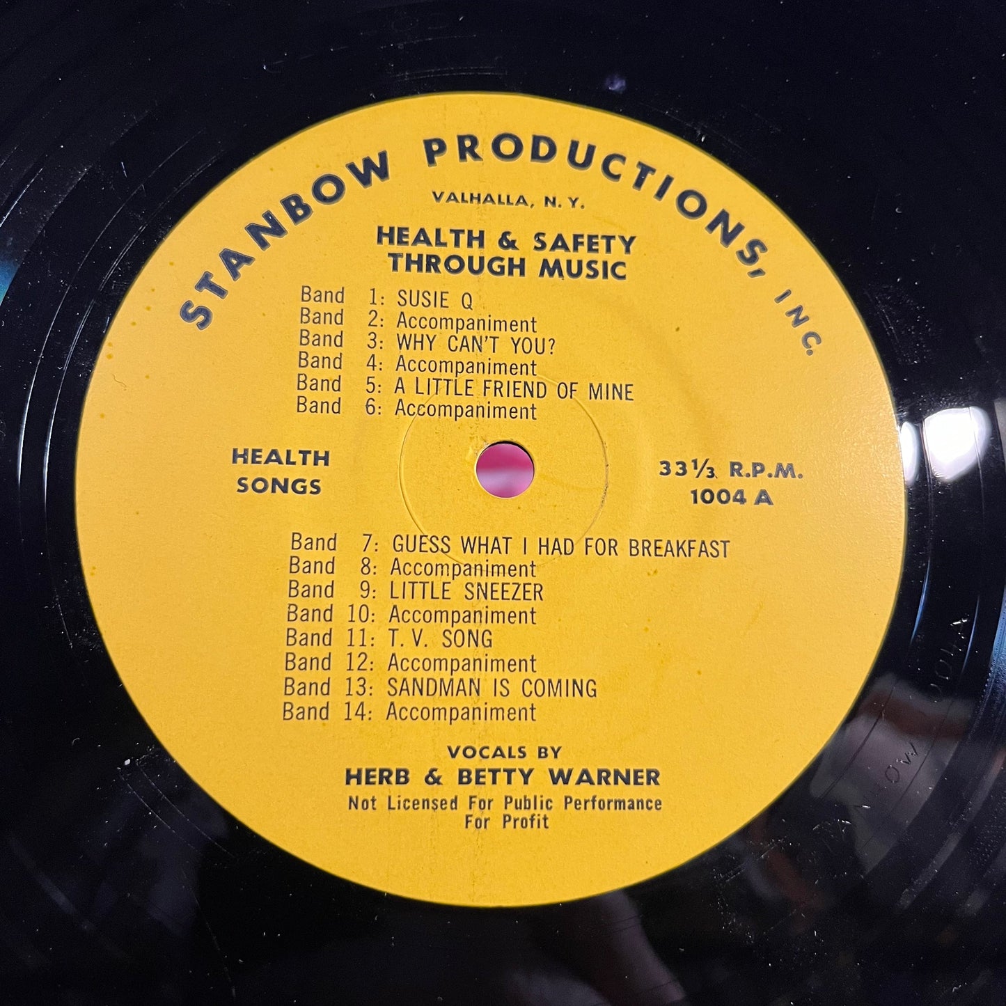 Health & Safety Through Music | Near Mint (NM) Excellent (EX) Get Cheap Vinyl
