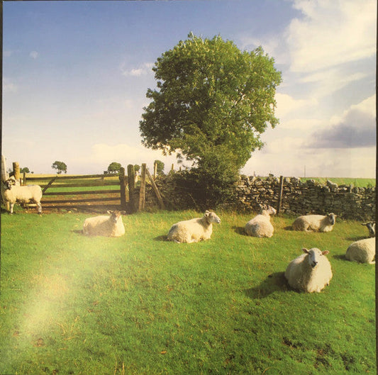 Chill Out | Mint (M) Mint (M) Get Cheap Vinyl