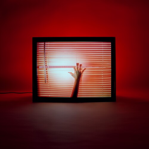 Screen Violence (Clear Red Vinyl) (Colored Vinyl, Clear Vinyl, Red, Indie Exclusive) | Mint (M) Mint (M) Get Cheap Vinyl