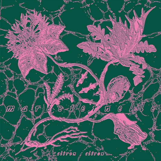 Mareeternelle | Get Cheap Vinyl