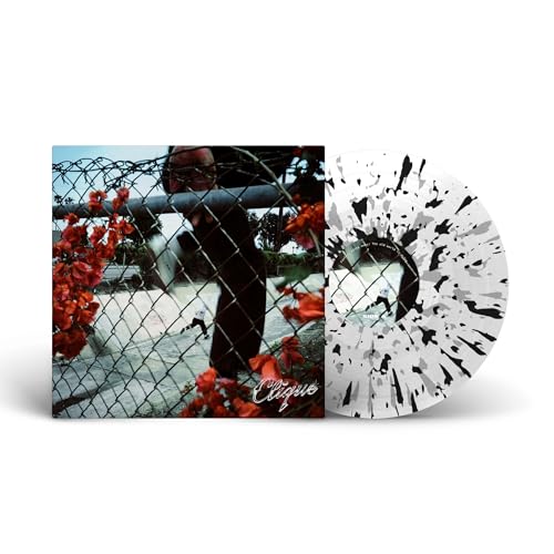 In Lives That Won't Last *PRE-ORDER 7/25/25* (Clear With Silver & Black Splatter Vinyl) | Mint (M) Mint (M) Get Cheap Vinyl
