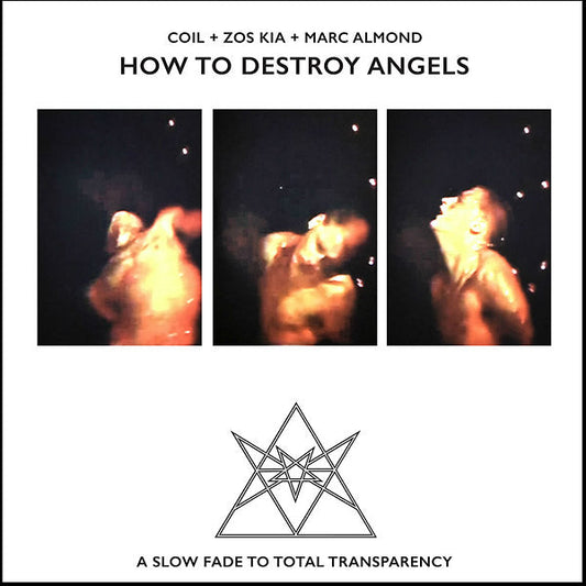 How To Destroy Angels (VINYL) | Mint (M) Mint (M) Get Cheap Vinyl
