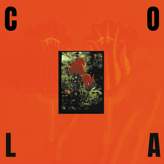 The Gloss (Black In Orange Vinyl) | Mint (M) Mint (M) Get Cheap Vinyl