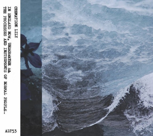In England Now, Underwater & The Processes And Intruments of Normarl People | Get Cheap Vinyl