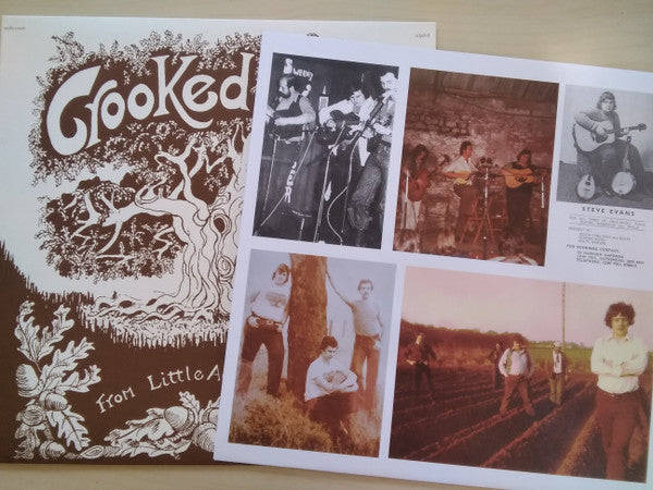 From Little Acorns Grow | Mint (M) Mint (M) Get Cheap Vinyl