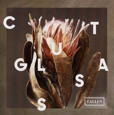 Fallen | Get Cheap Vinyl
