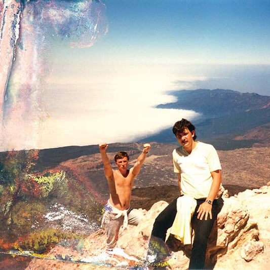 Visibility Is a Trap [Import] | Mint (M) Mint (M) Get Cheap Vinyl