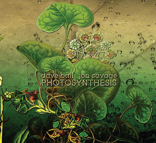 Photosynthesis | Get Cheap Vinyl