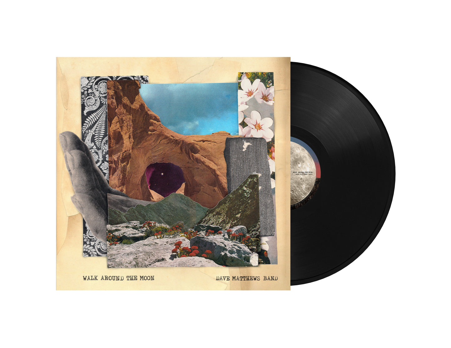 Walk Around The Moon (Wide Vinyl, Black) | Mint (M) Mint (M) Get Cheap Vinyl