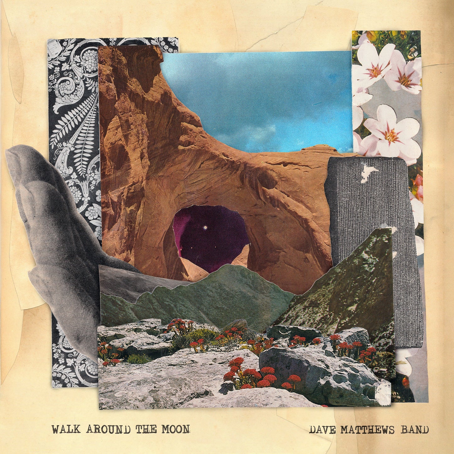 Walk Around The Moon (Wide Vinyl, Black) | Mint (M) Mint (M) Get Cheap Vinyl