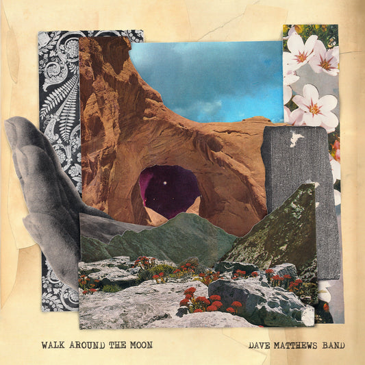 Walk Around The Moon (Wide Vinyl, Black) | Mint (M) Mint (M) Get Cheap Vinyl