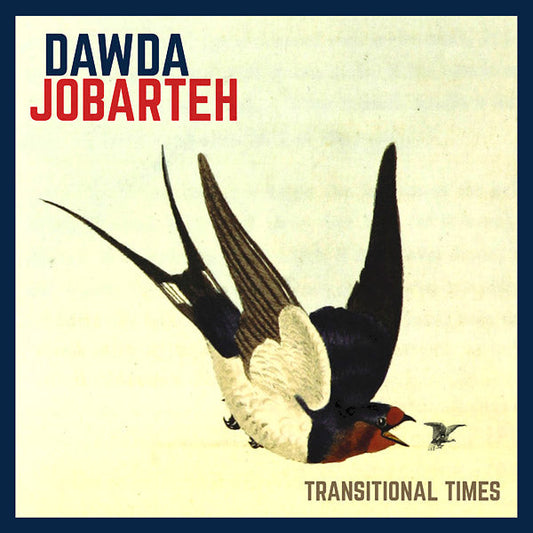 Transitional Times | Get Cheap Vinyl