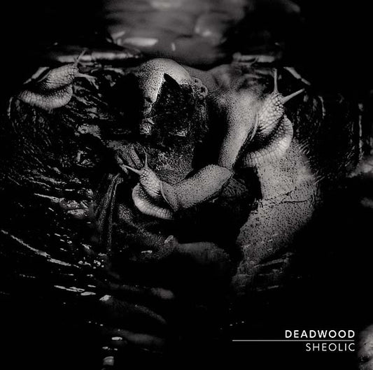 Sheolic | Get Cheap Vinyl