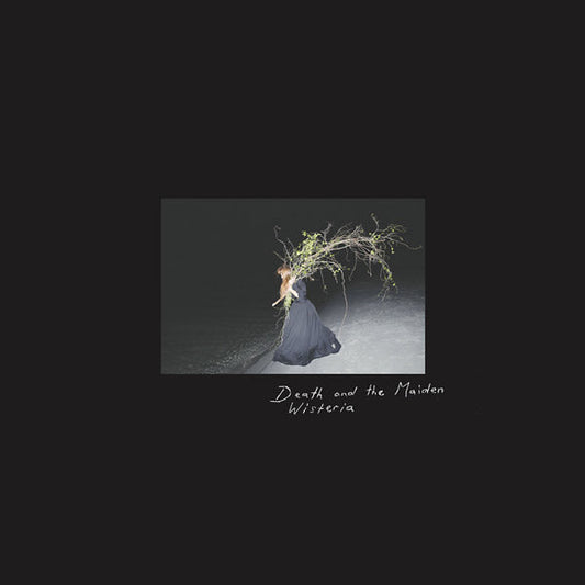 Wisteria | Get Cheap Vinyl