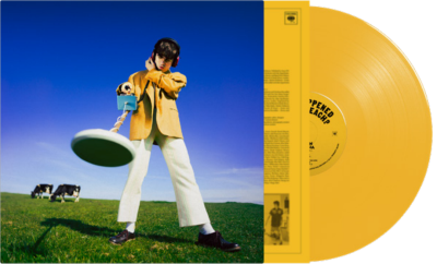 What Happened to the Beach? (Yellow Vinyl) [INDIE EX] | Mint (M) Mint (M) Get Cheap Vinyl