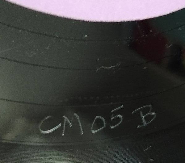 Love Is Stronger Than Pride (House Mixes) | Mint (M) Generic Get Cheap Vinyl
