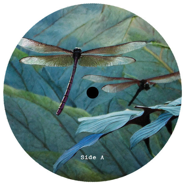 Internal Flight EP | Mint (M) Mint (M) Get Cheap Vinyl