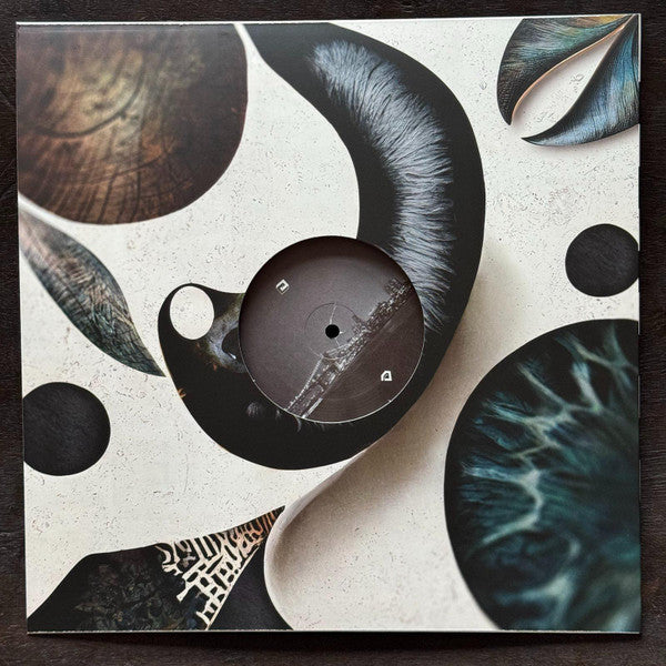 Seasons | Mint (M) Mint (M) Get Cheap Vinyl