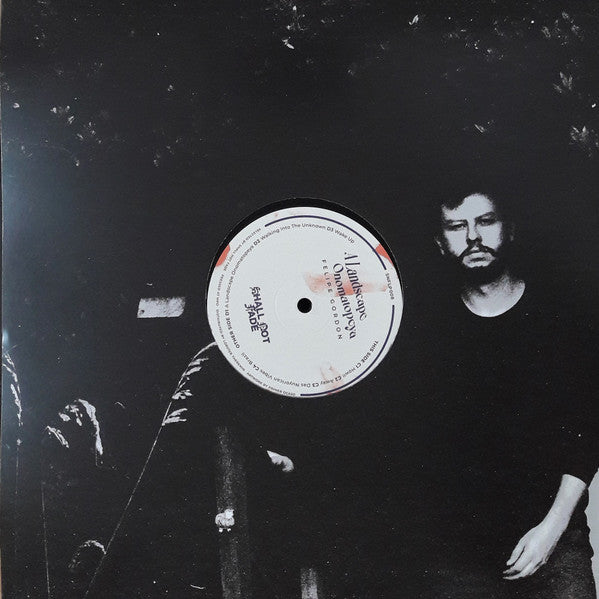 A Landscape Onomatopeya (2xVINYL) | Mint (M) Mint (M) Get Cheap Vinyl