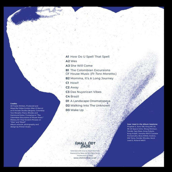 A Landscape Onomatopeya (2xVINYL) | Mint (M) Mint (M) Get Cheap Vinyl