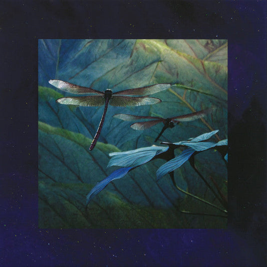 Internal Flight EP | Mint (M) Mint (M) Get Cheap Vinyl