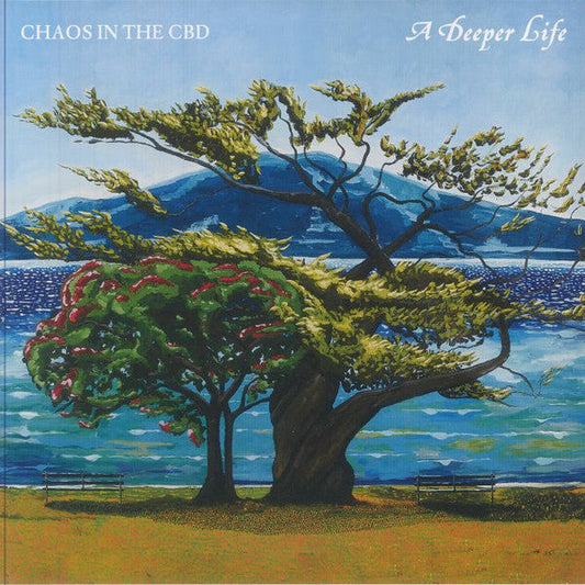 A Deeper Life (2xVINYL) | Mint (M) Mint (M) Get Cheap Vinyl