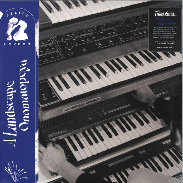 A Landscape Onomatopeya (2xVINYL) | Mint (M) Mint (M) Get Cheap Vinyl