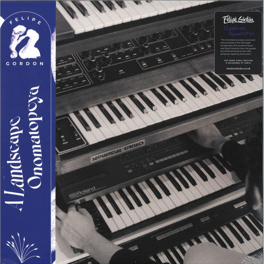 A Landscape Onomatopeya (2xVINYL) | Mint (M) Mint (M) Get Cheap Vinyl
