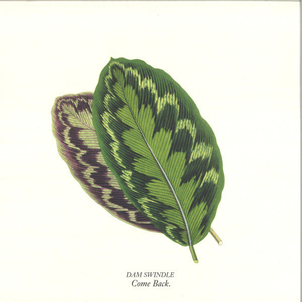 Come Back (GREEN VINYL) | Mint (M) Mint (M) Get Cheap Vinyl