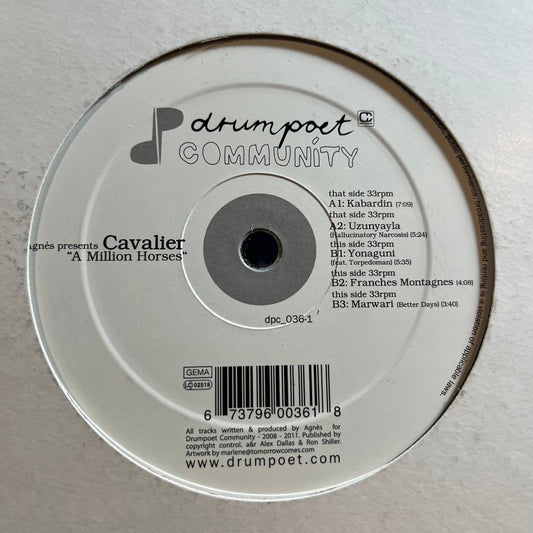 A Million Horses (VINYL) *RECORD 1 ONLY* | Excellent+ (EX+) Generic Get Cheap Vinyl