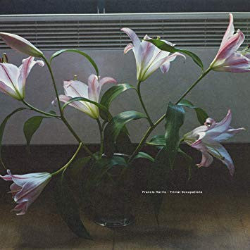 Trivial Occupations | Mint (M) Mint (M) Get Cheap Vinyl