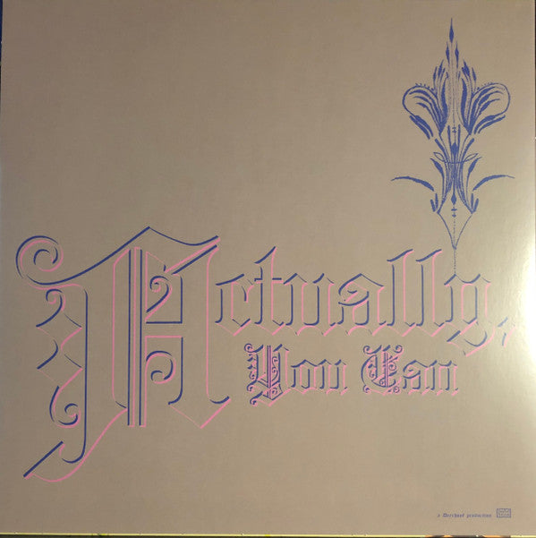 Actually, You Can | Mint (M) Mint (M) Get Cheap Vinyl