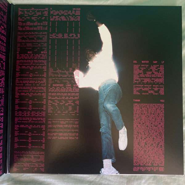 Del Water Gap | Mint (M) Mint (M) Get Cheap Vinyl