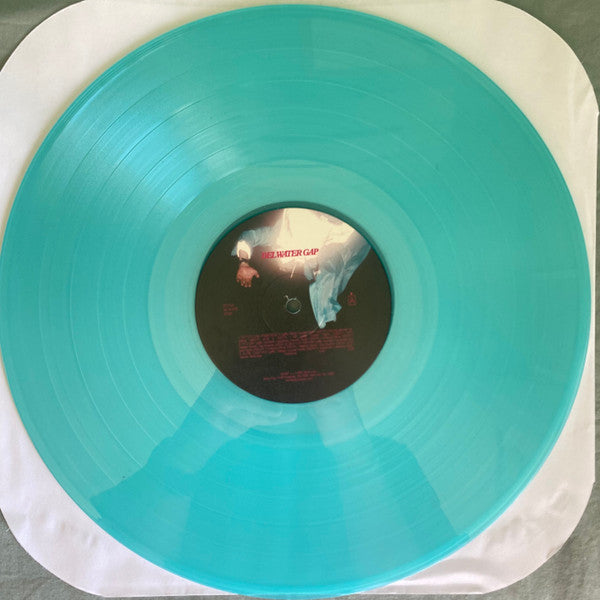 Del Water Gap | Mint (M) Mint (M) Get Cheap Vinyl