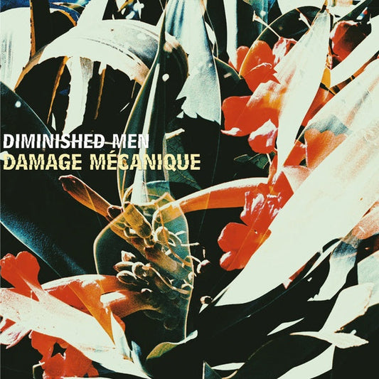 Damage Mecanique | Get Cheap Vinyl