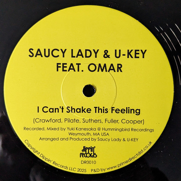 I Can't Shake This Feeling (VINYL) | Mint (M) Mint (M) Get Cheap Vinyl