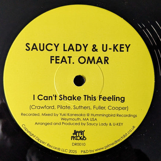 I Can't Shake This Feeling (VINYL) | Mint (M) Mint (M) Get Cheap Vinyl