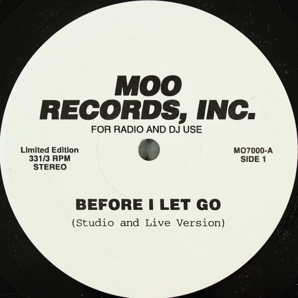 Before I Let Go / Time Warp | Mint (M) Generic Get Cheap Vinyl