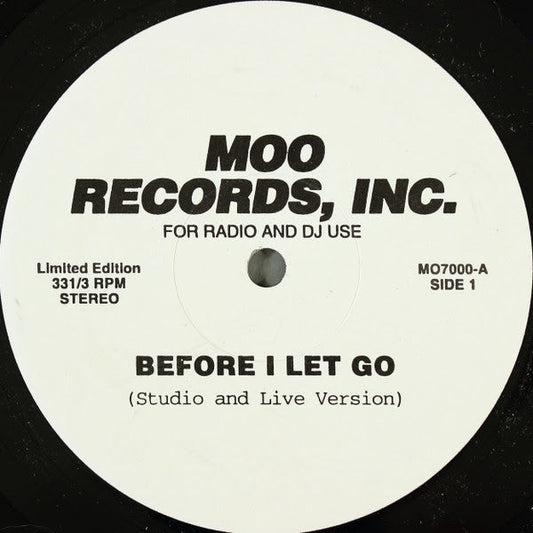 Before I Let Go / Time Warp | Mint (M) Generic Get Cheap Vinyl