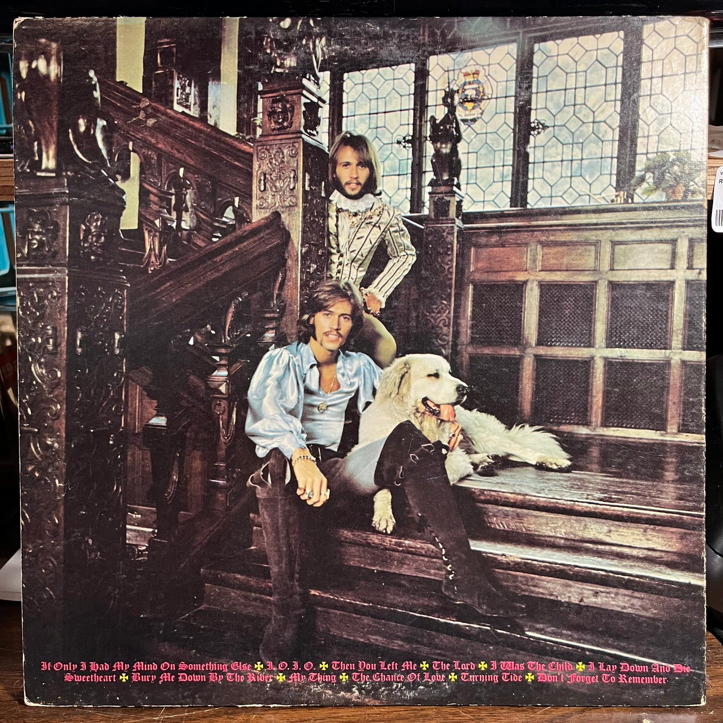 Cucumber Castle (VINYL) | Very Good (VG) Very Good Plus Plus (VG++) Get Cheap Vinyl