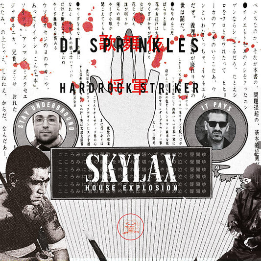 Skylax House Explosion | Get Cheap Vinyl