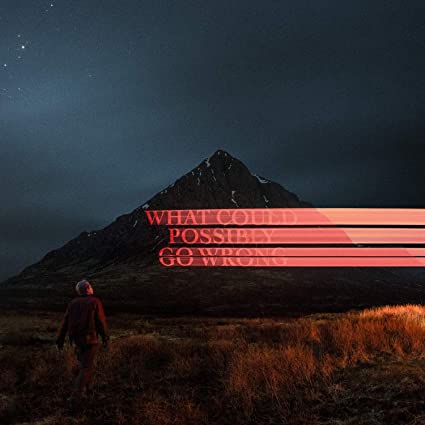 What Could Possibly Go Wrong [Explicit Content] (140 Gram Vinyl, Gatefold LP Jacket, Poster) | Mint (M) Mint (M) Get Cheap Vinyl