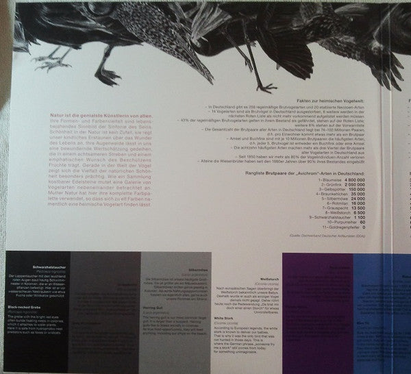 Avichrom | Mint (M) Mint (M) Get Cheap Vinyl