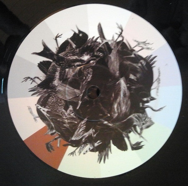 Avichrom | Mint (M) Mint (M) Get Cheap Vinyl