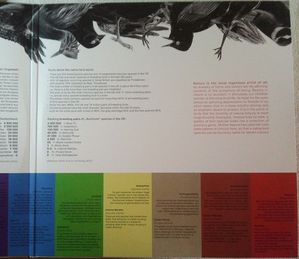 Avichrom | Mint (M) Mint (M) Get Cheap Vinyl