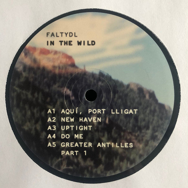 In The Wild | Mint (M) Mint (M) Get Cheap Vinyl