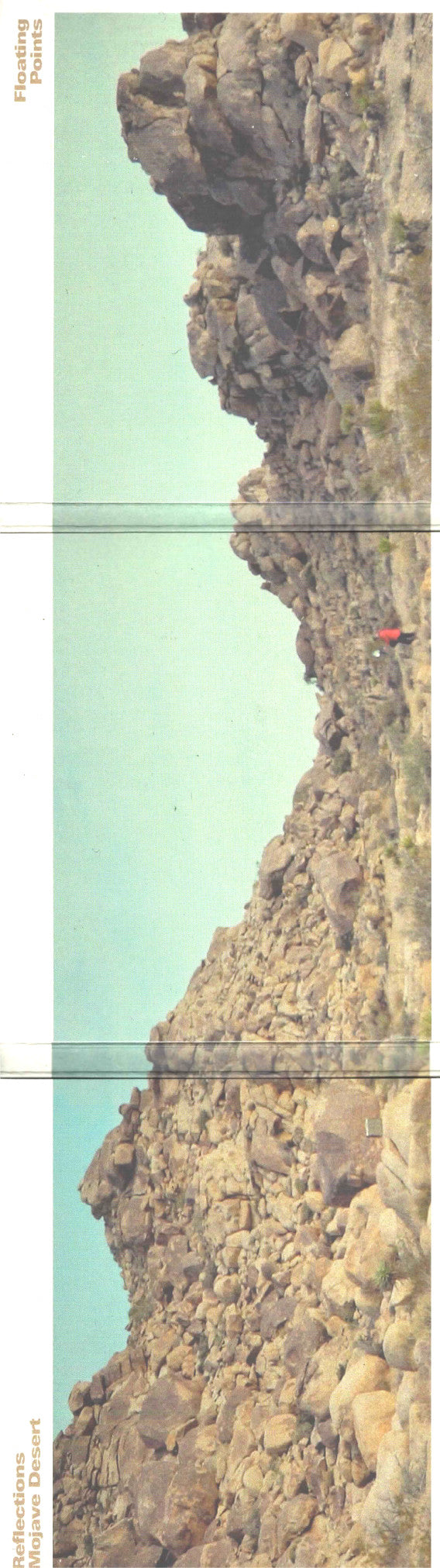 Reflections - Mojave Desert | Get Cheap Vinyl