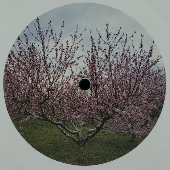 Within And Without (WHITE VINYL) | Near Mint (NM or M-) Near Mint (NM or M-) Get Cheap Vinyl